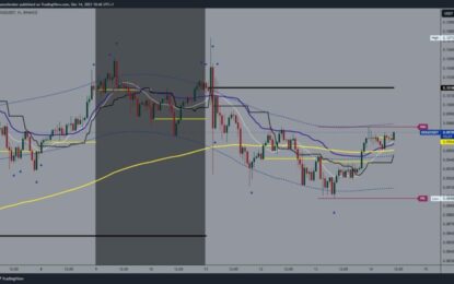 Dogecoin And Shiba Inu: Dogecoin Continues To Recover