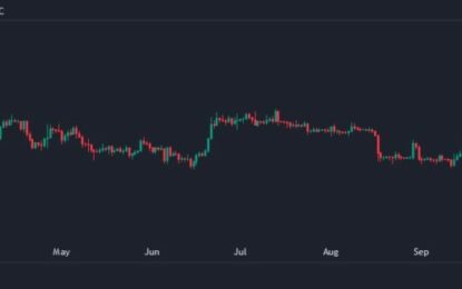 Catching The Bull By The Horns: Bitcoin’s Remarkable Rally Beyond $40k