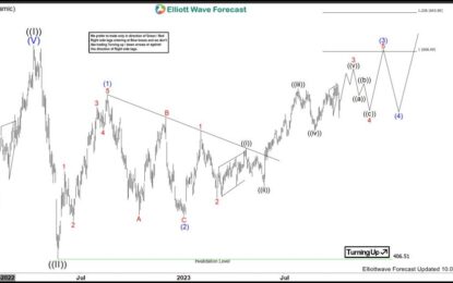 Costco Wholesale Continues Further Upside & Remain Supported