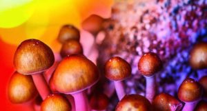 November Recap: Psychedelic Drug Stocks Index Driven 30% Higher By Incannex