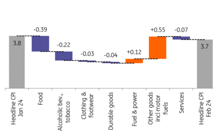 Hungarian Disinflation Slows