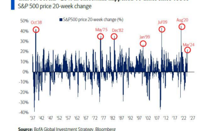 Household Equity Allocations Suggests Caution