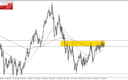 Crude Oil Forecast: Likely To Rally Further