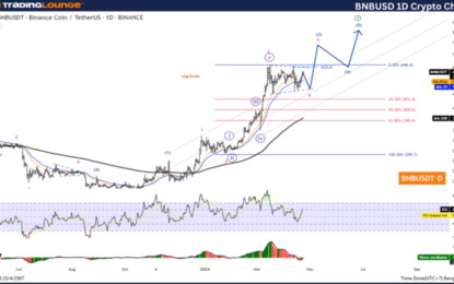 Binance Crypto Price News Today; Elliott Wave Technical Analysis