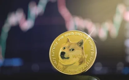 Shiba Inu Witnesses Whopping 436% Surge In Large Transactions – Time To Buy?