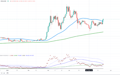 Dogecoin – Surely, You Must Be Joking?