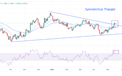 EUR/USD Strengths Amid Uncertainty Over ECB Rate Cuts In July