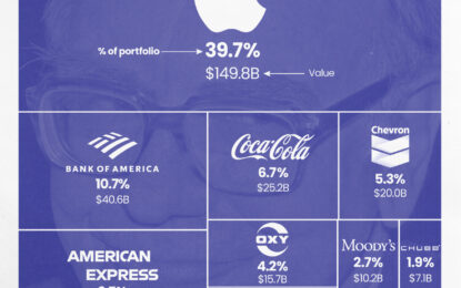 Visualizing Berkshire Hathaway’s Stock Portfolio (Q1 2024)