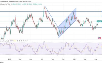 EUR/USD Analysis: Halt In Gains