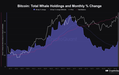 Bitcoin Whales’ Buying Appetite Returns, On-Chain Data Shows