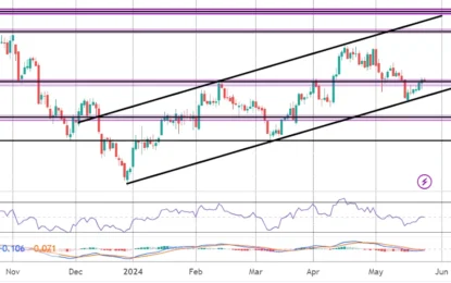 US Market Commentary – Friday, May 24