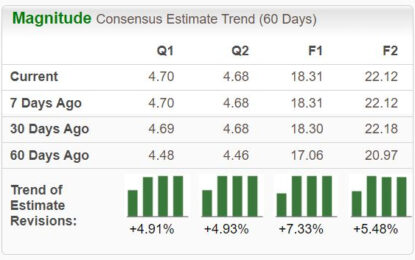 Bull Of The Day: Netflix 
                    
 