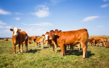 Is A Tax On Organic Cows Or An Outright Ban Coming Soon?