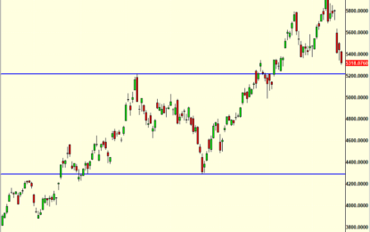 Bears Making Some Noise – Or At Least Trying