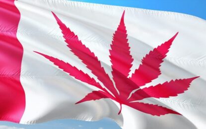 Canadian Cannabis LPs Doubled Performance Of American MSOs This Week