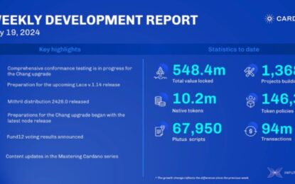 Cardano Soars To New Levels: IOG Unveils Explosive Growth In Key Metrics