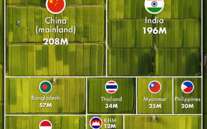 Charted: 776 Million Tonnes Of Rice Production By Country 
                    
Charted: 776 Million Tonnes of Rice Production by Country
Rice, Rice, Baby