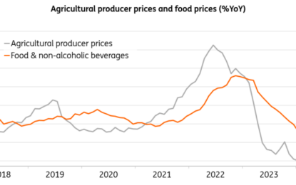 Czech Inflation On Target As Food Prices Drop Significantly