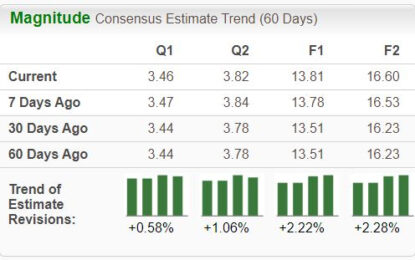 Bull Of The Day: Servicenow 
                    
 