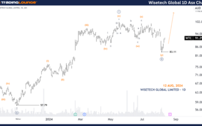 Unlocking ASX Trading Success: WiseTech Global Limited