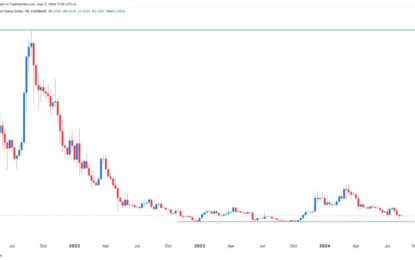 Charles Hoskinson’s Cardano And The $11 Billion Crypto Ghost Chain