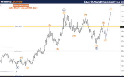 XAGUSD Commodity Elliott Wave Technical Analysis – Monday, August 26