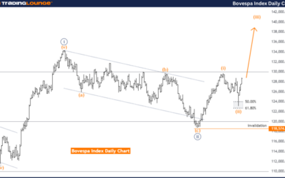 Bovespa Index Elliott Wave Technical Analysis 1