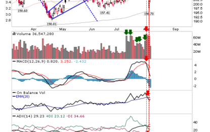 Dead Cat Bounce Or Something Better?