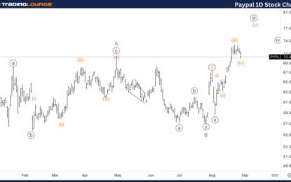 Elliott Wave Technical Analysis: PayPal