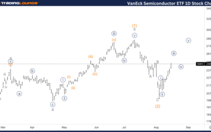 VanEck Semiconductor ETF Stocks Elliott Wave Technical Analysis – Friday, August 16