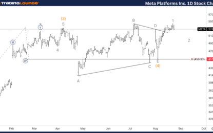 Elliott Wave Technical Analysis: Meta Platforms Inc. – Monday, Aug. 26