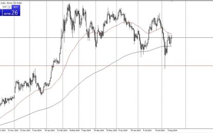 BTC/USD Forecast: Questions Of Risk Appetite 
                    
Volatility Continues