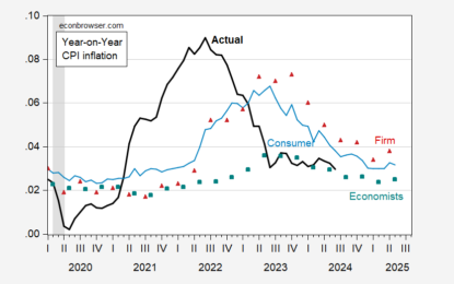 Who Better Predicted The Transitory Inflation Surge Of 2021-24?