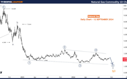 Natural Gas Commodity Elliott Wave Technical Analysis