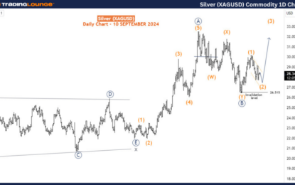 XAGUSD Commodity Elliott Wave Technical Analysis – Tuesday, September 10