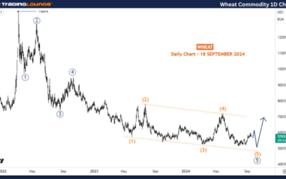 Wheat Commodity Elliott Wave Technical Analysis – Wednesday, September 18