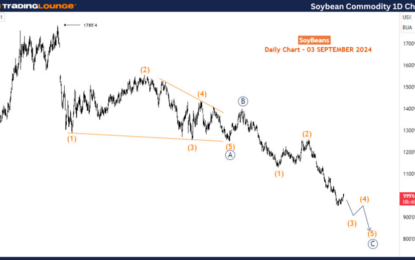 Soybean Commodity Elliott Wave Technical Analysis 1