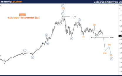 Cocoa Commodity Elliott Wave Technical Analysis – Thursday, September 5