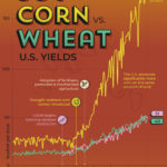 Charted: 150 Years Of Corn, Wheat, And Soy Yields In America