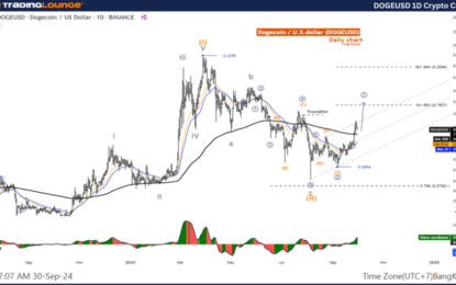 Dogecoin Crypto Today – Elliott Wave Technical Analysis