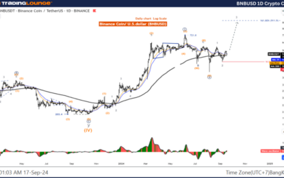 Binance Crypto Price News Today Elliott Wave Technical Analysis – Tuesday, September 17