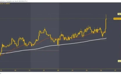 Dogecoin And Shiba Inu: Daily Targets And Prices