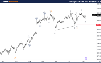 Meta Platforms Inc. Stocks Elliott Wave Technical Analysis – Monday, September 16