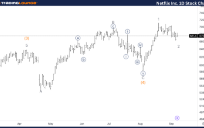 Netflix Inc. Stock Elliott Wave Technical Analysis – Tuesday, September 10