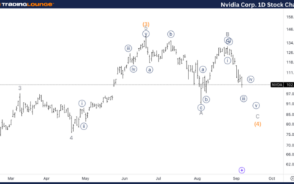 Nvidia Corp. Stocks Elliott Wave Technical Analysis – Sunday, September 8