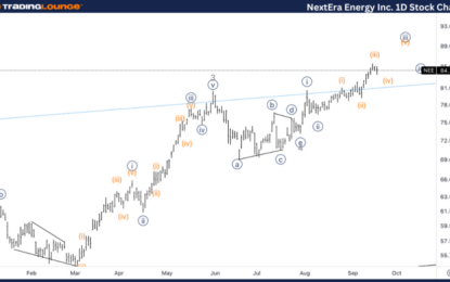 NextEra Energy Inc Stocks Elliott Wave Technical Analysis – Thursday, September 19