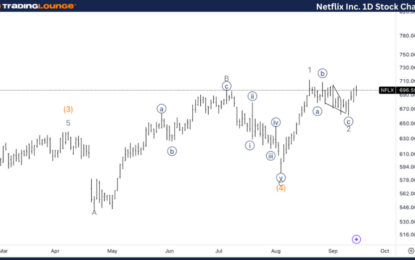 Netflix Inc. Stocks Elliott Wave Technical Analysis – Tuesday, September 17