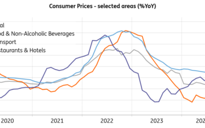 Food And Services Prices Drive Czech Inflation