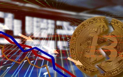 Will The Crypto Market Crash Again? Here’s What The Data Says