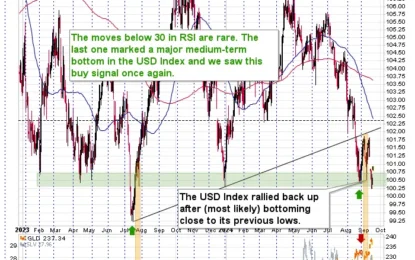 Dollar’s And Gold’s Outlook Right Before Fed’s Cut